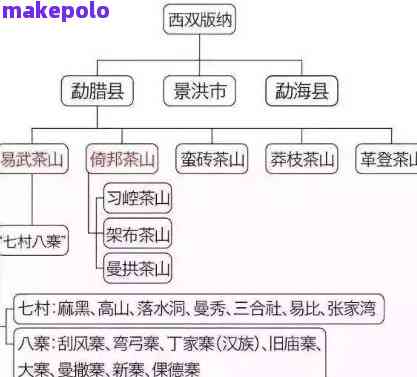 麻黑普洱茶产地及特点：了解这个茶区的全貌与品鉴技巧