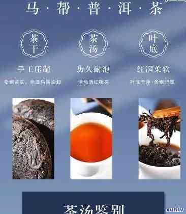 马龙普洱茶酒价格云南最新报价