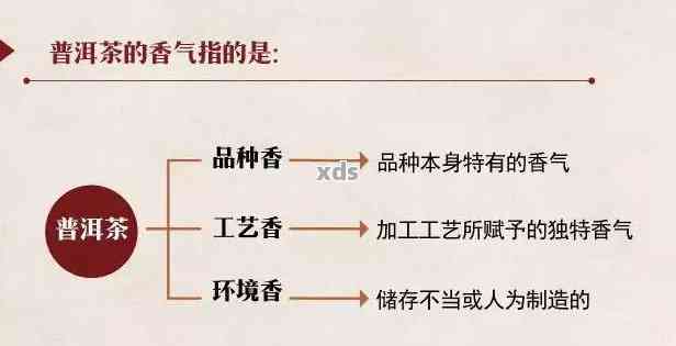 全面解析：哪些牌子的普洱茶具有香味？一份详细的推荐清单！