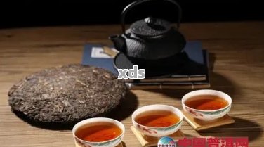 陈年普洱茶：品种、品质、冲泡与收藏全方位解析