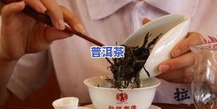 什么普洱茶适合水杯泡着喝呢-什么普洱茶适合水杯泡着喝呢图片