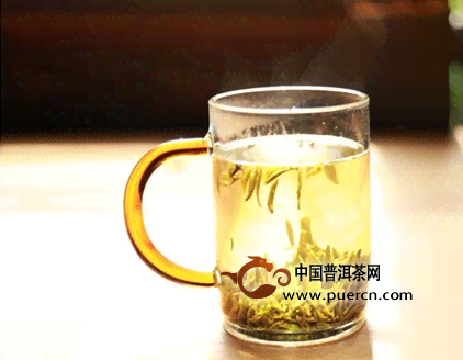 什么普洱茶适合水杯泡茶喝