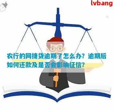 农行网捷贷逾期后的扣款方式及注意事项，全面解决用户搜索问题