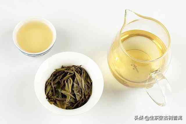 马普洱茶哪个茶区喝？其特点是什么？