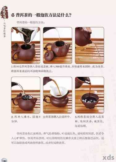 从选茶到品尝：全面掌握普洱茶试茶技巧与步骤