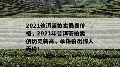 2021普洱茶拍卖会：2021年更高价与历年拍卖回顾