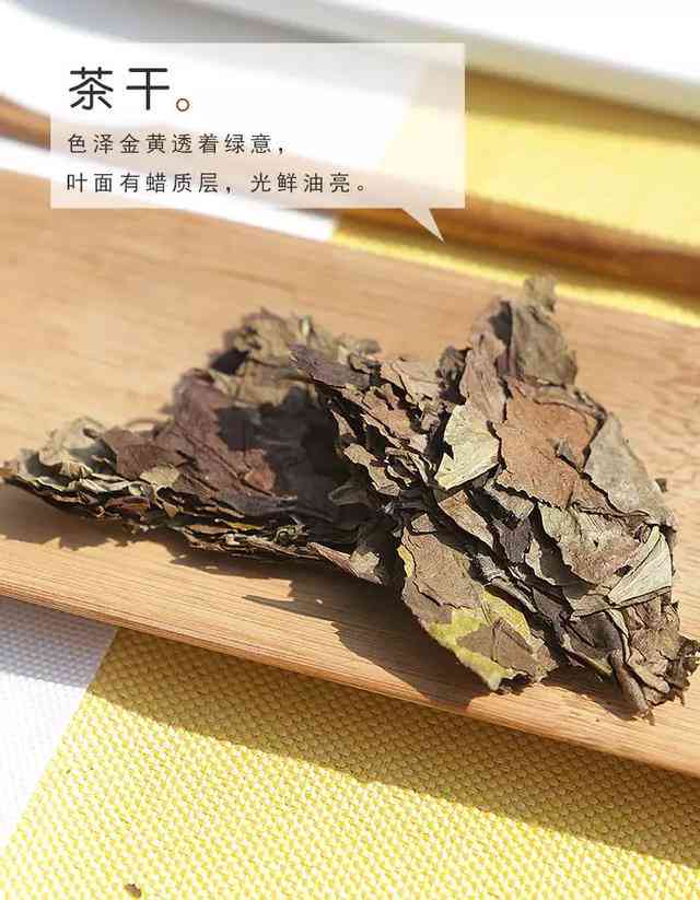 荒野白茶价格大全：探索各种品质与产地的荒野白茶价格信息