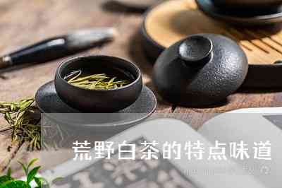 荒野白茶的种类，价格与特点：探究这种茶叶的真实面貌