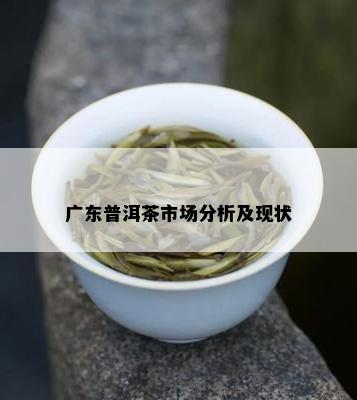 广东普洱茶市场：探索与创新