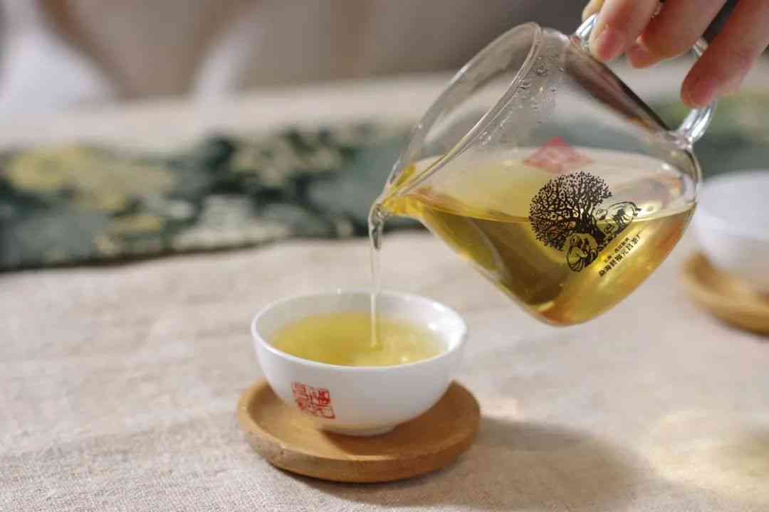 倚邻普洱茶：2018年倚邦、倚玛、倚江春茶区的国有林普洱茶特点解析