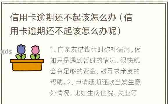 信用卡还不上不想逾期怎么办