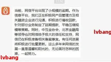 网贷逾期了政审能过吗，如何应对？