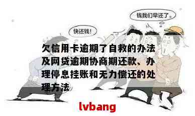 '信用卡逾期还不上怎么办？欠信用卡无力偿还的自救办法和后果'