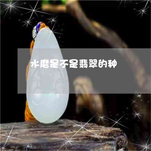 水沫子与翡翠共生原石