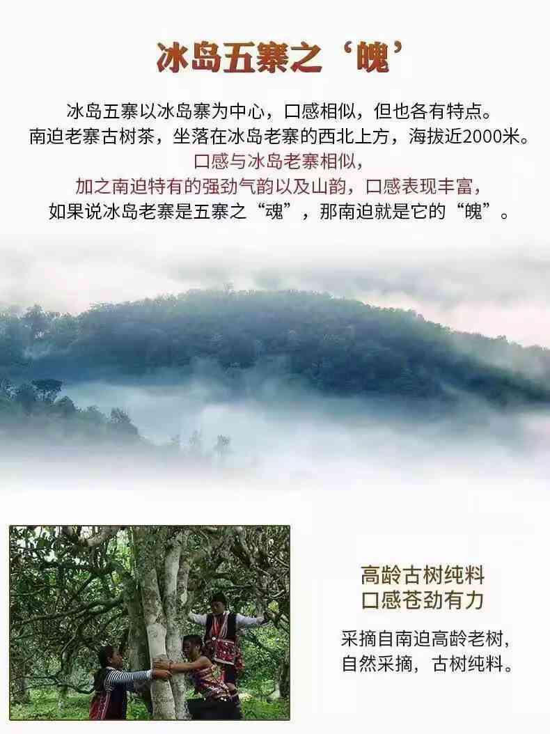 南迫茶区：冰岛古树普洱的独特魅力与风味