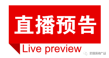 云南小矮人集团事长简介及联系方式：座机电话、汽车服务连锁。