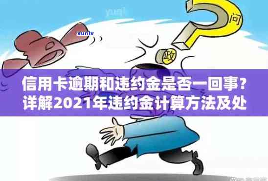 逾期还款违约金计算方法：避免高额利息的信用卡使用策略