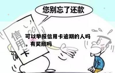 欠信用卡不还可以举报吗？有奖励吗？如何操作？