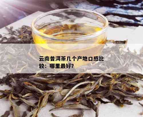 新 '云南小普洱茶：哪个产地的品质更优秀？'