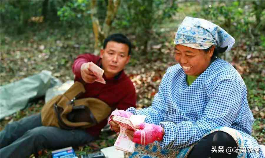 天下云茶精品普洱茶价格表