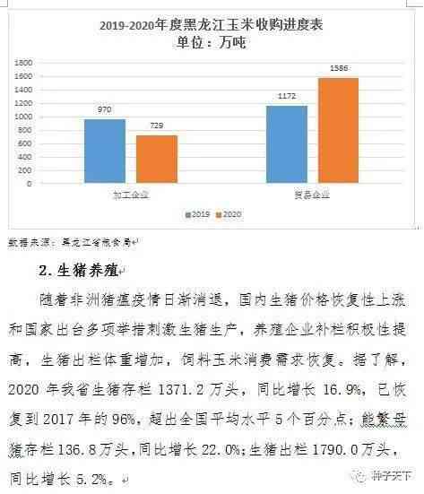 全面解析黑龙江桫椤玉产业现状及发展趋势：从资源分布、市场规模到行业挑战