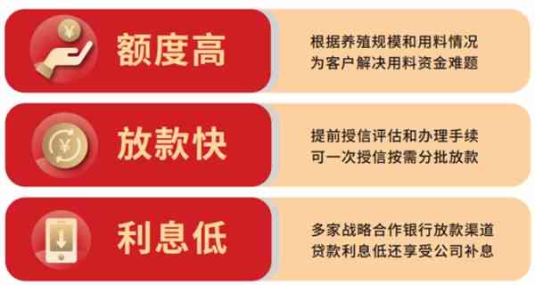 全面了解光速贷：利率、额度、申请流程、优劣势分析及注意事项