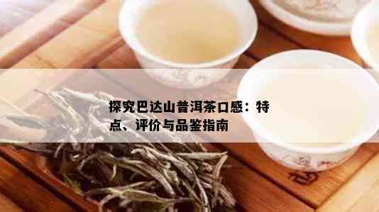 巴达山普洱茶如何冲泡好喝