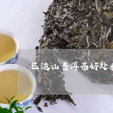 巴达山普洱茶如何冲泡好喝