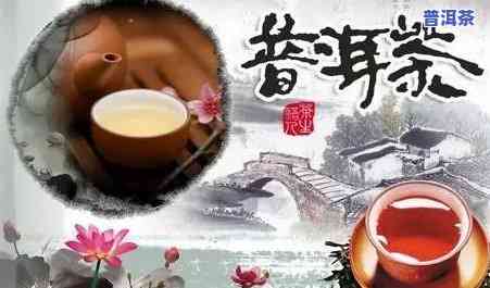 兔年普洱茶名字大全及寓意是什么：探究好听的普洱茶名字