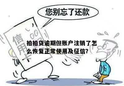 已注销，但仍提示欠款逾期，怎么办？