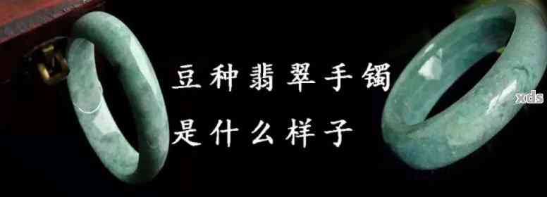 翡翠豆种指的是纹路颗粒还是种子——探讨翡翠豆的种类与特点