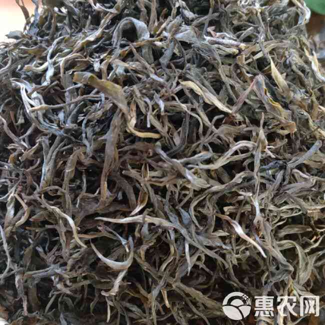 云南优质普洱茶毛茶批发价格与供应信息大全