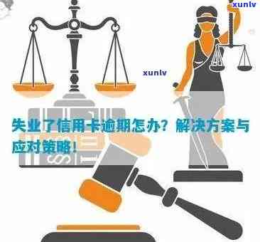 逾期贷款应对策略与解决方案指南：从信用修复到债务重组一应俱全