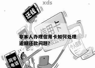 信用卡逾期问题：本人非持卡人如何应对？