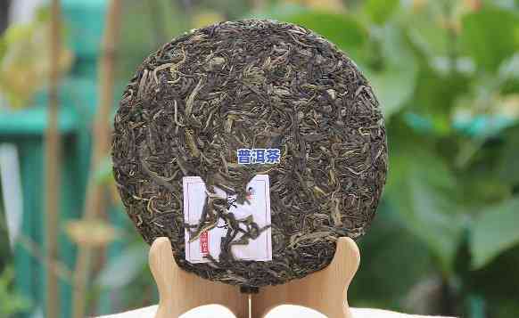 外国人品尝中国普洱茶的体验和看法：文化差异与口味喜好