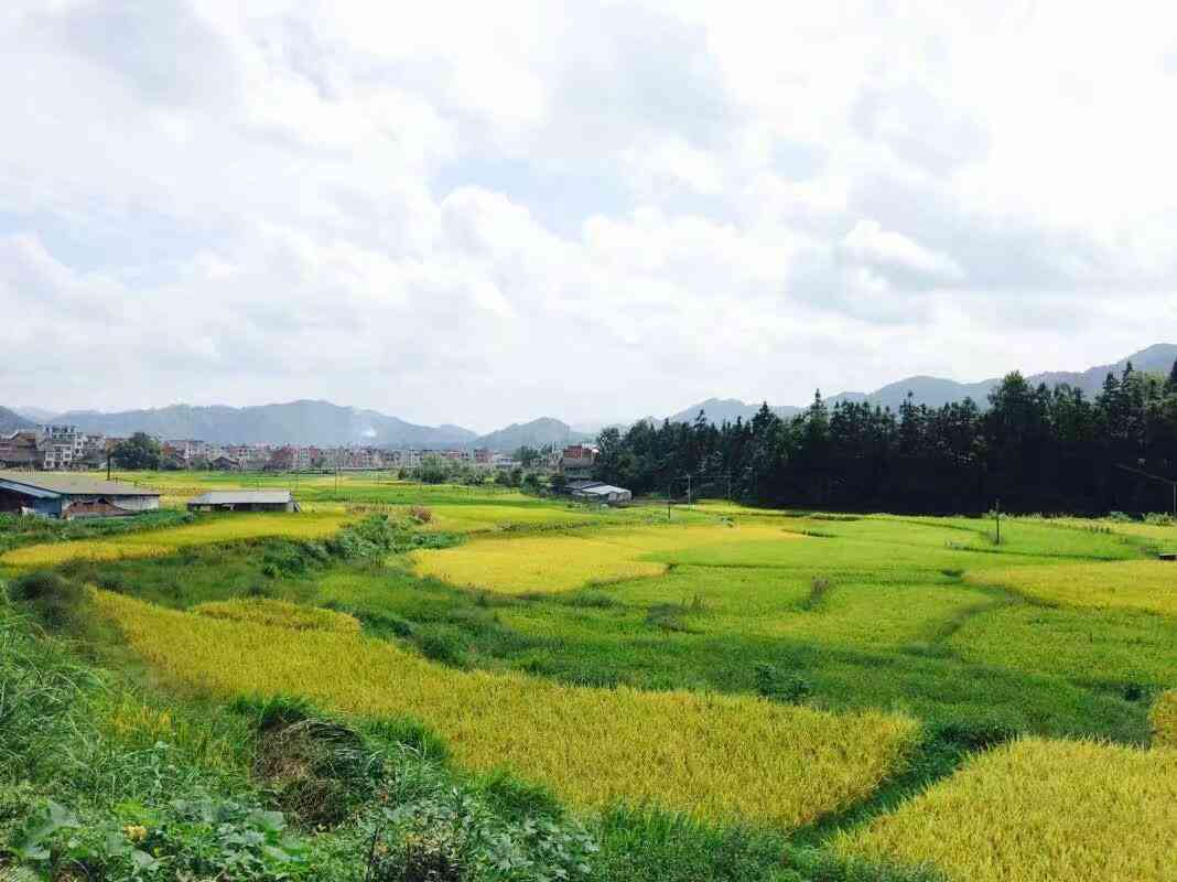 适合佩戴翡翠和田玉的季节