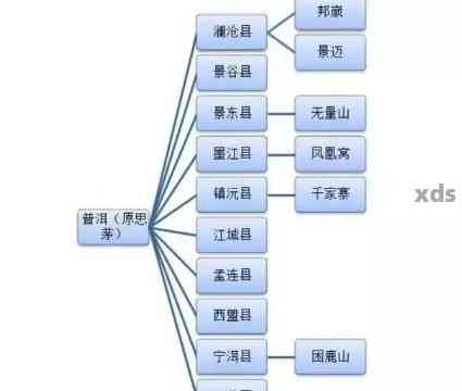 新思产区普洱茶产地一览表，全方位了解普洱茶的来源及特点