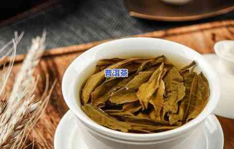 普洱茶中最苦的茶是什么？它的名字是什么？