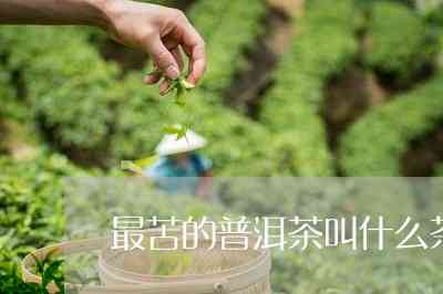 普洱茶中最苦的茶是什么？它的名字是什么？