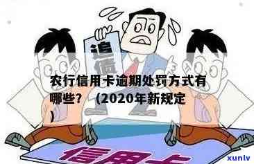 2020年农行信用卡逾期新法规详解：逾期后果、还款方式及逾期管理全解析