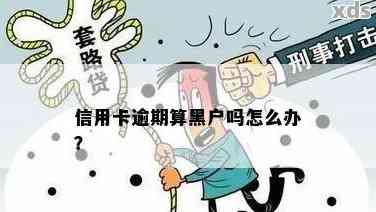 信用卡逾期身黑户吗