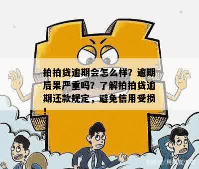 逾期一天的后果与影响全解析：用户必看，避免不必要的损失！