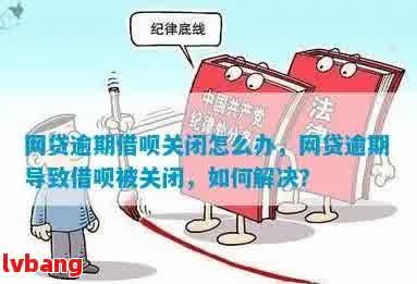 逾期关注状态解除时间：多久后会取消？如何避免逾期被关注？