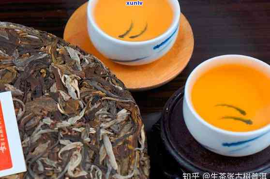 鼎兴普洱茶：品质越，品味非凡，探索普洱茶的奥秘与魅力