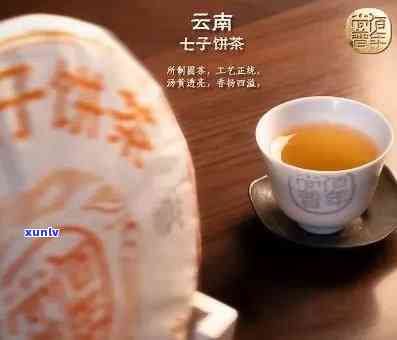 探寻普洱茶七子饼的千年传承：从古法制饼到现代品鉴