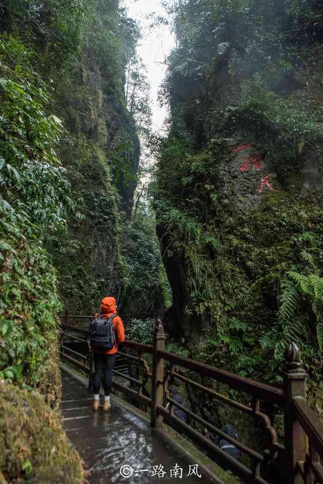 探索半山半水的美妙世界：一次全方位的旅行体验