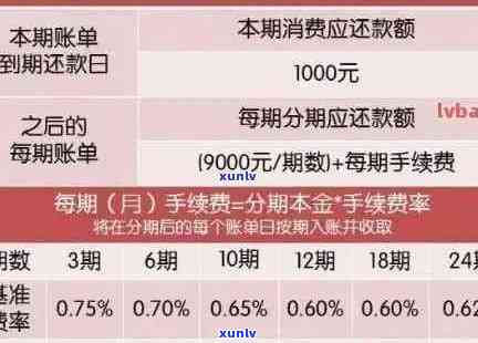 信用卡逾期还款违约金和利息减免策略：全面指南