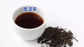 普洱茶中的絮状物质是什么？它们有什么作用和影响？