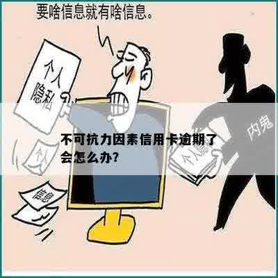 不可抗力因素导致信用卡逾期：应对措与赔偿问题解答