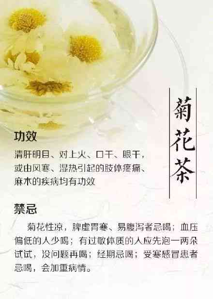 菊花普洱茶的全面功效与作用解析：解渴、降脂、抗氧化等一网打尽！